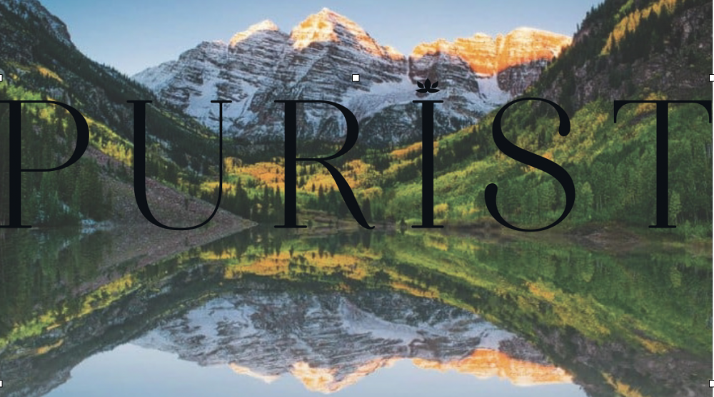 Visit Purist Online