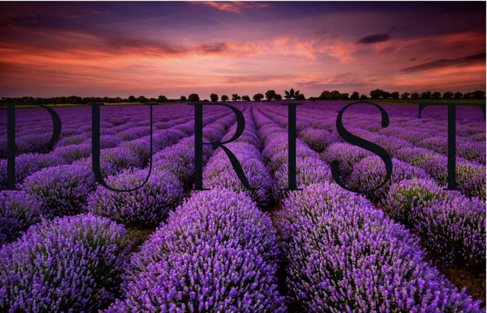 Visit Purist Online