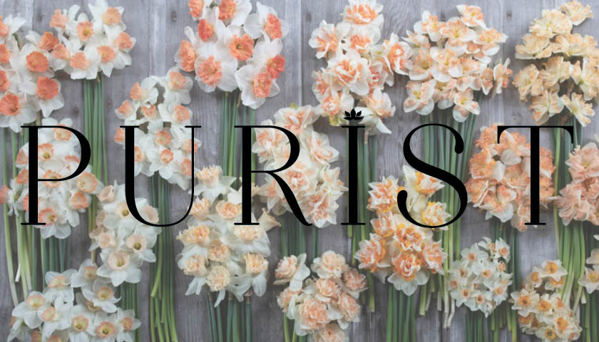 Visit Purist Online
