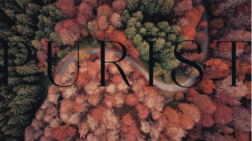 Visit Purist Online